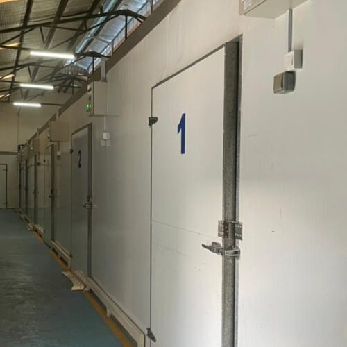 Customized-Storage-Solutions-for-Businesses-of-All-Sizes Customized-Storage-Solutions-for-Businesses-of-All-Sizes