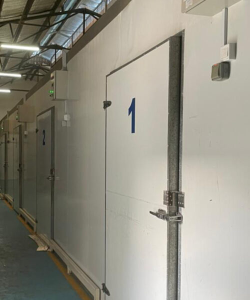 Customized-Storage-Solutions-for-Businesses-of-All-Sizes Customized-Storage-Solutions-for-Businesses-of-All-Sizes